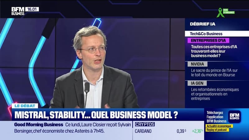 Mistral, Stability... Quel business model ? - 22/06