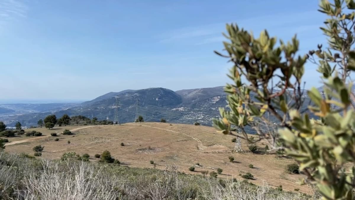 placeholder video