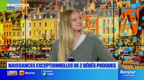 Bonjour la Normandie du mardi 23 septembre 2025