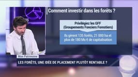 Mon Patrimoine: Les forêts, une idée de placement plutôt rentable ? - 15/04