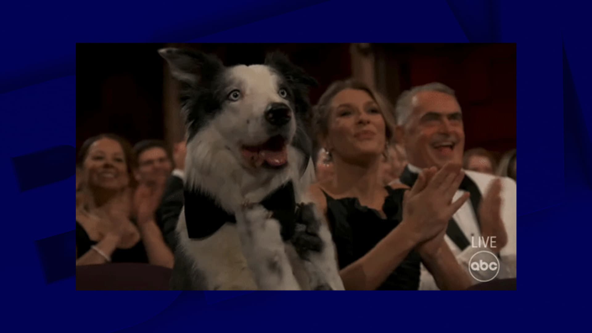 Messi lors de la cérémonie des Oscars, le 10 mars 2024