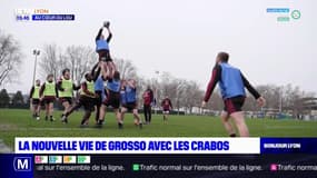 Au cœur du LOU : La nouvelle vie de Grosso avec les crabos