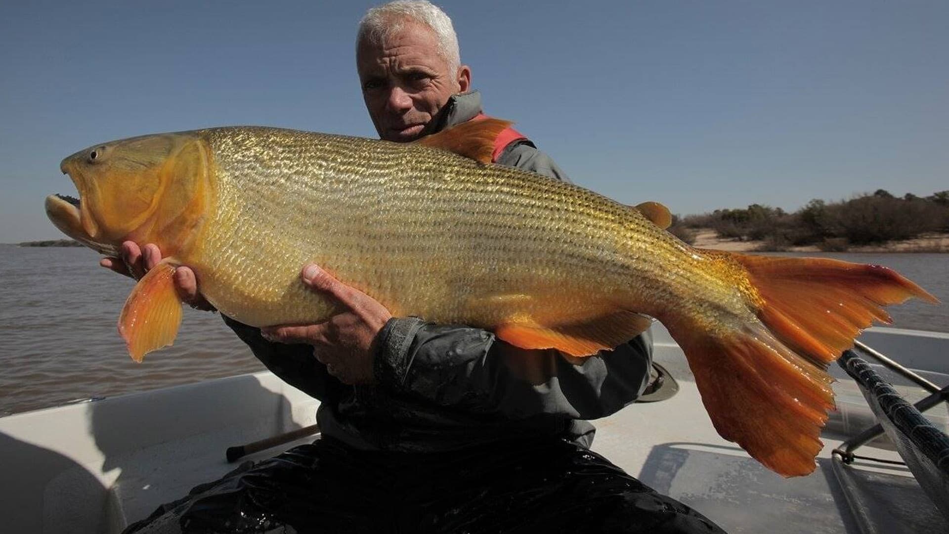 RIVER MONSTERS