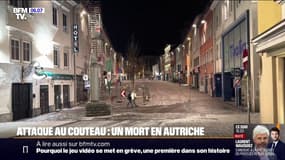 Autriche: un adolescent de 14 ans tué et cinq personnes blessées dans une attaque au couteau