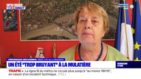 Un été "trop bruyant" à la Mulatière 