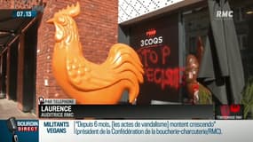 "Qu'on nous laisse tranquilles dans nos assiette ! Ils dénoncent la violence contre les animaux, mais ils en produisent contre les humains, donc c'est pas mieux"