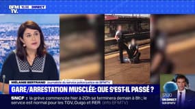 Arrestation musclée dans une gare: que s'est-il passé?