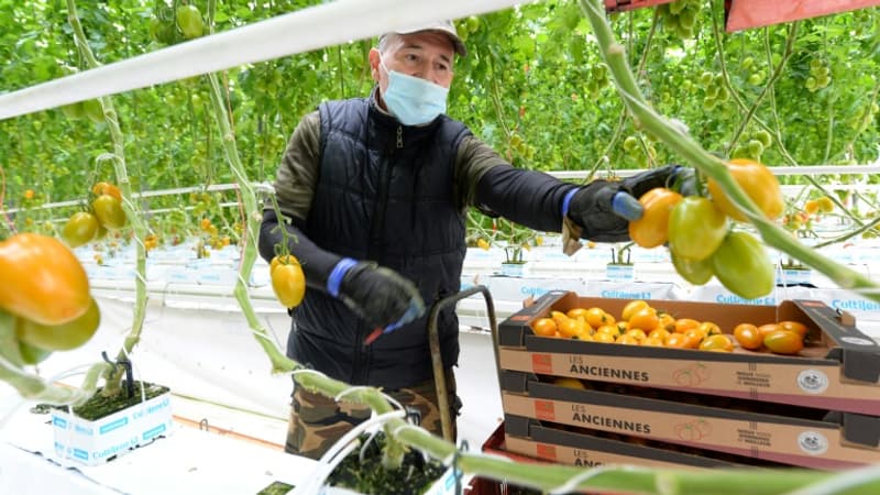 Explosion des factures d'énergie: les producteurs de fruits et légumes réclament l'aide de l'Etat