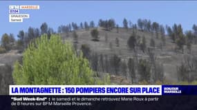 Feu de la Montagnette: l'incendie maîtrisé, 150 pompiers encore mobilisés