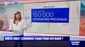 Grève SNCF: Comment faire pour voyager?