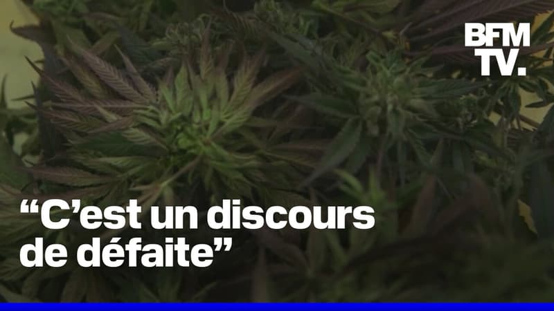 Deux députés proposent la légalisation du cannabis dans un rapport parlementaire