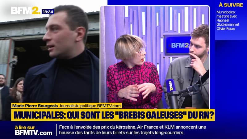 Publications racistes, casiers judiciaires: qui sont les "brebis galeuses" sur les listes électorales du RN?