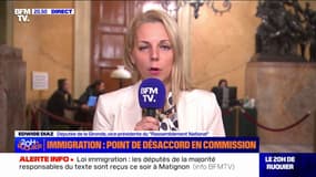 Projet de loi immigration: "Je ne vois pas comment des députés macronistes pourront voter des dispositions qu'ils ont conspuées il y a à peine 15 jours", affirme Edwige Diaz (RN)