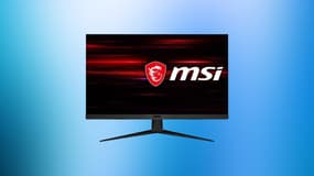 Cet écran PC gamer est dingue, son prix est enfin à prix réduit sur Cdiscount