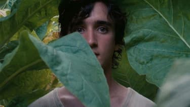 "Heureux comme Lazzaro", 'Alice Rohrwacher, en compétition officielle au Festival de Cannes 2018