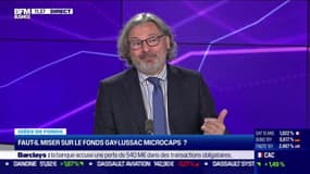 Idée de fonds : Faut-il miser sur le fonds Gay-Lussac Microcaps ? - 28/03