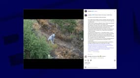 Le lynx ibérique blanc photographié pour la première fois en Espagne.