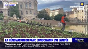 Qu'est-ce que la renaturation, première étape de la rénovation du Parc Longchamp?