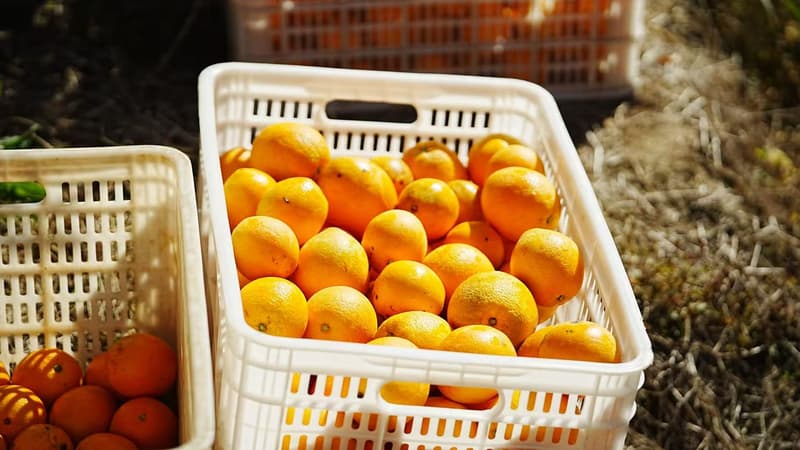 Civilisation écologique dans la province du Jiangxi. Le comté de Shangyou, un exemple de transition verte réussie