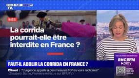 La corrida pourrait-elle être interdite en France ? BFMTV répond à vos questions