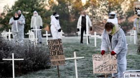 Des personnes portant des masques et des combinaisons de protection se tiennent à côté de pancartes qui se traduisent par "Ecophyto, Eco-déchets, Eco-fiasco, arrêtez les coûts et les massacres", lors d'une action de soutien aux travailleurs agricoles et vitivinicoles le 4 décembre 2016, à Anvensan, dans le sud-ouest de la France. 