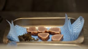 Dix personnes ont été hospitalisées à Rennes après avoir mangé un tataki de thon dans un restaurant à Bruz près de Rennes (photo d'illustration).