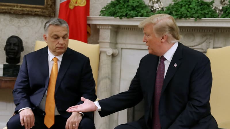 Viktor Orban et Donald Trump lors d'une rencontre officielle en mai 2019 à Washington