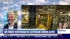 Laurent Wauquiez: le fonds souverain d'Auvergne-Rhône-Alpes "n'est pas seulement défensif, il est aussi offensif" 
