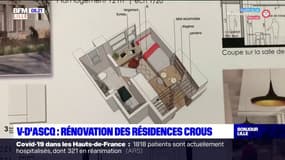 Villeneuve d'Ascq: les résidences Crous du campus Cité scientifique rénovées