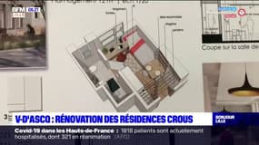 Villeneuve d'Ascq: les résidences Crous du campus Cité scientifique rénovées