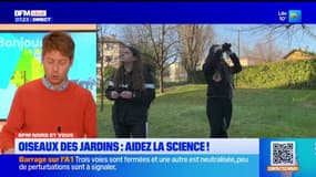 BFM Nord et vous: compter les oiseaux dans son jardin pour aider la science