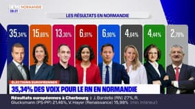 Élections européennes: percée historique pour le RN en Normandie