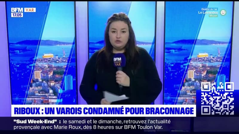 Riboux: un octogénaire condamné à six mois de prison avec sursis pour le braconnage d'espèces protégées