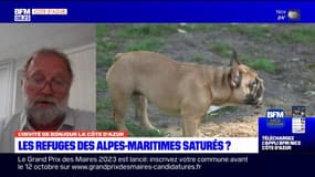 Alpes-Maritimes: un nouveau refuge de la SPA à Mougins d'ici 2026