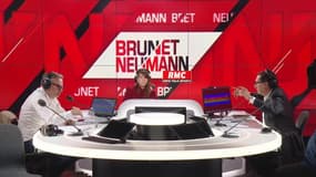 Colère des agriculteurs: "L’agriculture expliquée par des extrémistes de l’écologie nous fait passer pour des empoisonneurs"