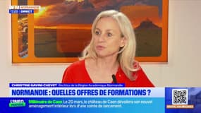 “C’est une mise en relation de voeux et de formations”: comment utiliser la plateforme Parcoursup ? 