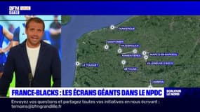 Début de la coupe du monde de rugby: la liste des écrans géants dans le Nord-Pas-de-Calais