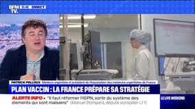 Plan vaccin: la France prépare sa stratégie - 29/11