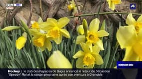 Tout Terrain: à la découverte des jardins de Salagon à Mane