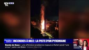 Nice: la piste d'un pyromane envisagée dans le quartier de Cimiez après des incendies à répétition