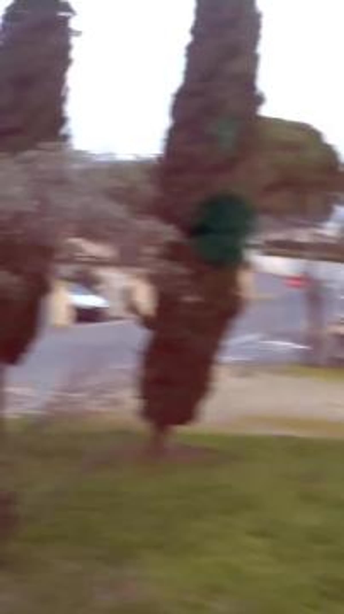 placeholder video