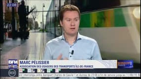 "Des problèmes de saturation" sur les lignes du tramway à Paris pointés du doigt dans un nouveau rapport 