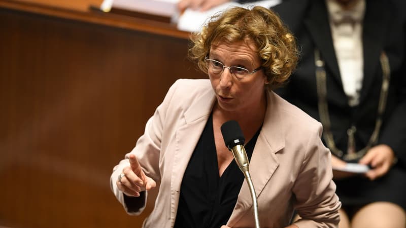 La ministre du Travail Muriel Pénicaud, le 24 octobre 2017 à Paris, à l'Assemblée nationale.