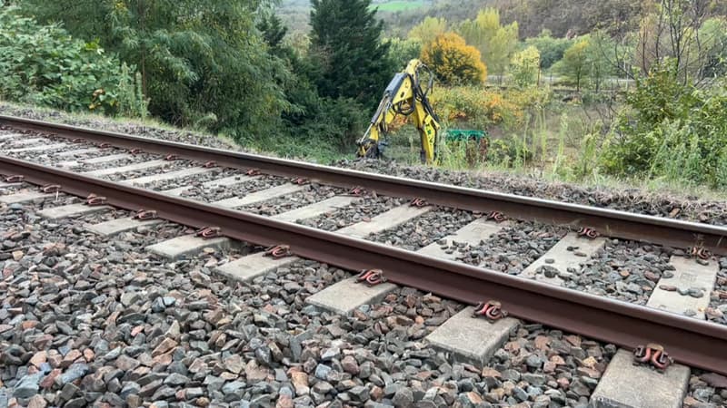 Intempéries: les trains à l'arrêt entre Lyon et Saint-Étienne, les voyageurs en quête de solutions (1/1)