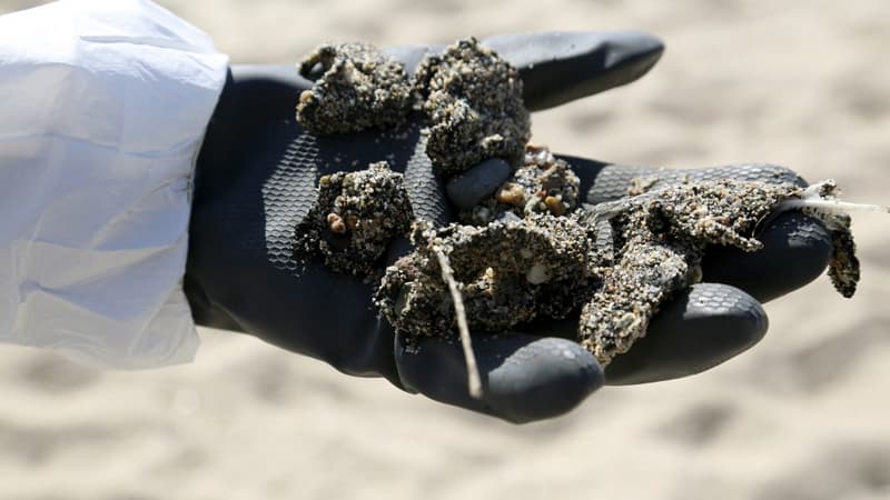 Des résidus d'hydrocarbures découverts sur la plage de Solaro en Corse, le 14 juin 2021.