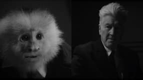 Qu'a fait Jack?, le nouveau court-métrage de David Lynch