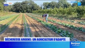Sécheresse dans l'Argens: les agriculteurs obligés de s'adapter