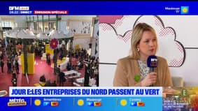Jour E: les entreprises françaises passent au vert à Lille
