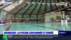 Manosque: la piscine municipale de la Rochette fermée après la détection de bactéries