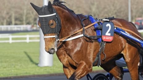 Horsy Dream a triomphé dans le Prix René Ballière